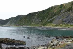 OWHIRO-BAY (1)